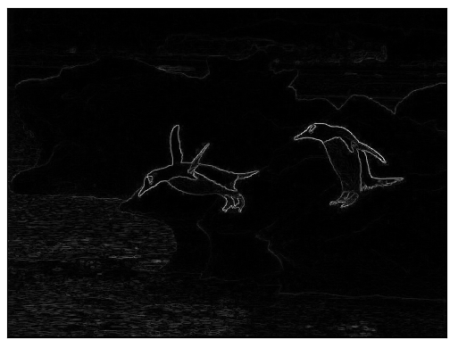 Energy matrix of the penguin photo Sample energy matrix